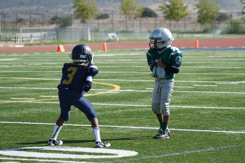 Cover 3 Zone Defense in youth football, Zone Coverage