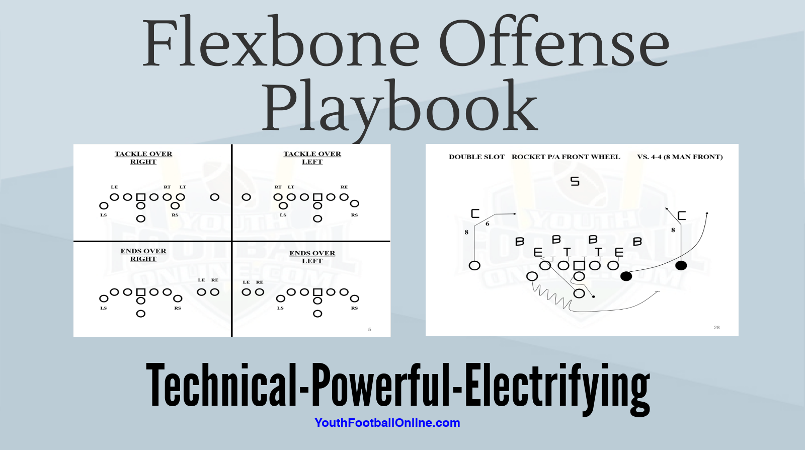 Flexbone Playbook for Football