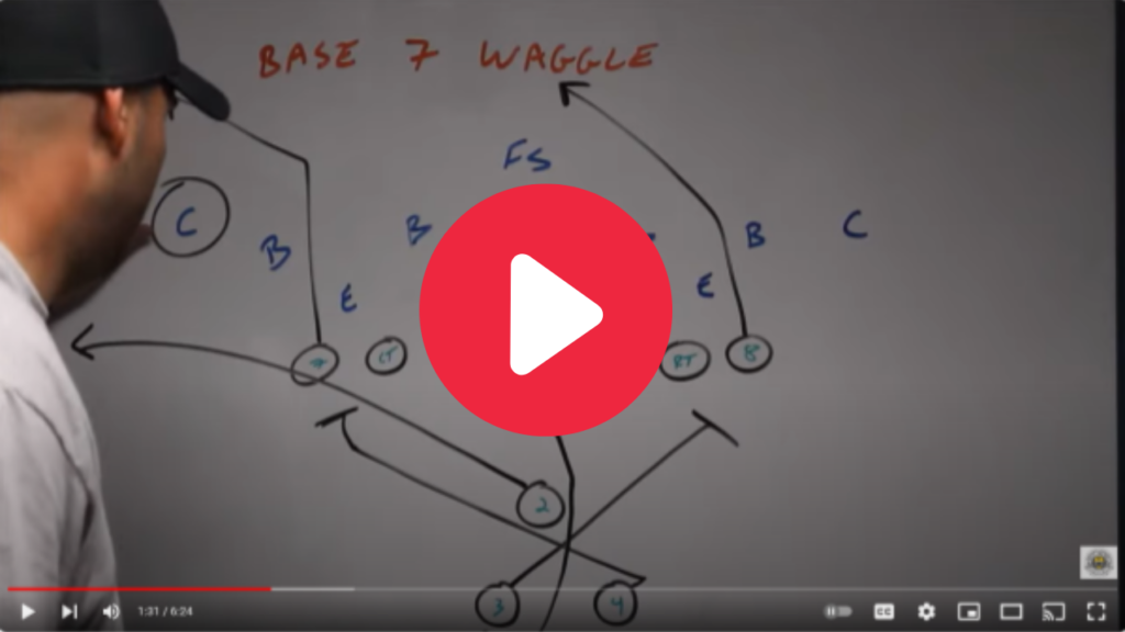 waggle